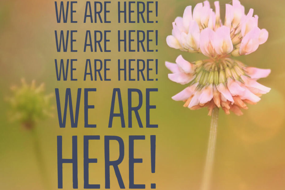 A clover blossom with the following text next to it: We are here! We are here! WE ARE HERE!